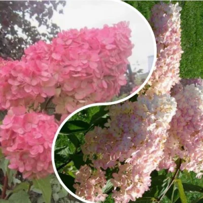 Комплект МНОГОГРАННОСТЬ в Хабаровске