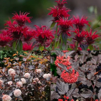 Комплект ОГНЕННЫЙ МИКС в Хабаровске