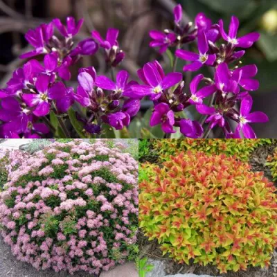 Комплект ЯПОНСКИЙ САД в Хабаровске