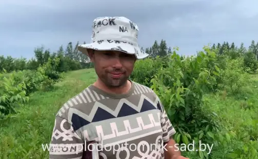 Превью видео