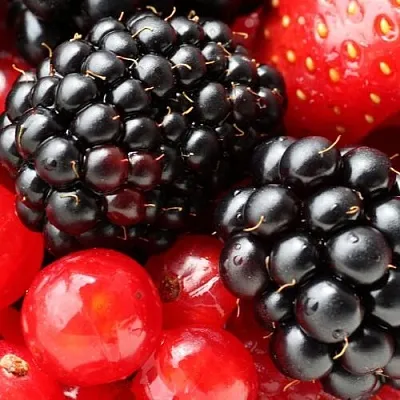 Ежевика  Ежевика в Хабаровске