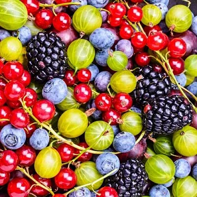 СУПЕР НОВИНКИ  СУПЕР НОВИНКИ в Хабаровске