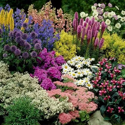 Травы в Хабаровске