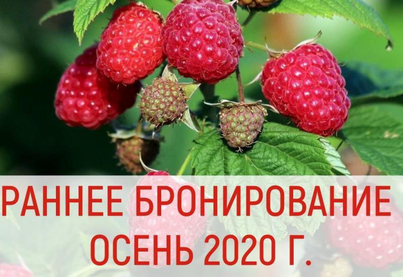 Открыт прием заказов на осень 2020